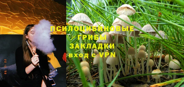 твердый Елизово