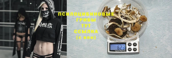 дурь Беломорск