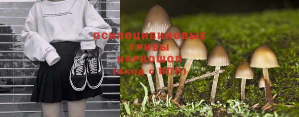 Альфа ПВП Белокуриха