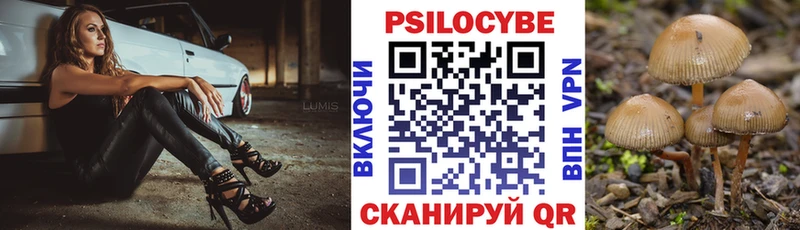 Галлюциногенные грибы Psilocybe  Берёзовский 